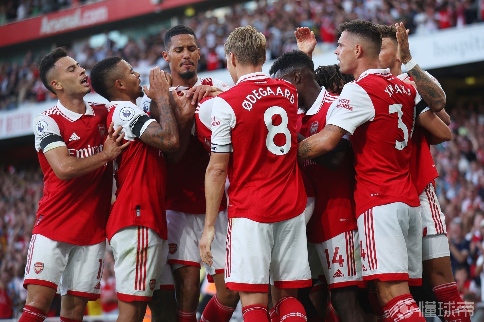 时隔1周再战布赖顿 蓝狮要为英足总杯出局复仇